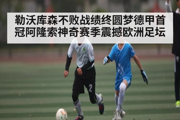 勒沃库森不败战绩终圆梦德甲首冠阿隆索神奇赛季震撼欧洲足坛